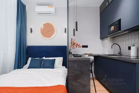 Студия Москва Березовая аллея, 19к3 (16.3 м)