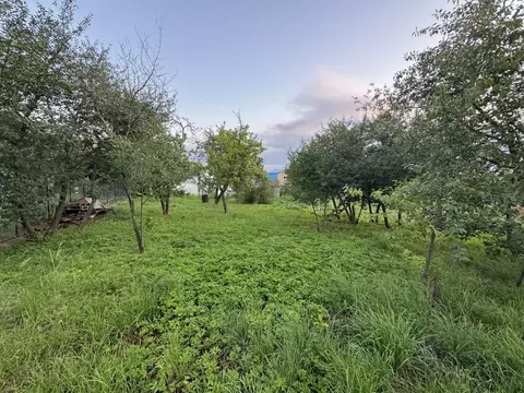 Участок в Нижегородская область, Кстово Ялта СНТ, 114 (5.05 сот.)