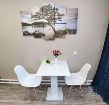 Студия Ивановская область, Иваново Профессиональная ул., 35 (17.0 м)