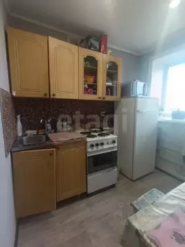 1-к кв. Алтайский край, Бийск ул. Владимира Короленко, 33 (28.8 м)