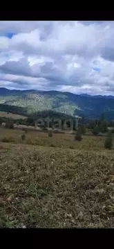 Участок в Алтай, Чемальский район, Элекмонарское с/пос, Седьмое Небо ...