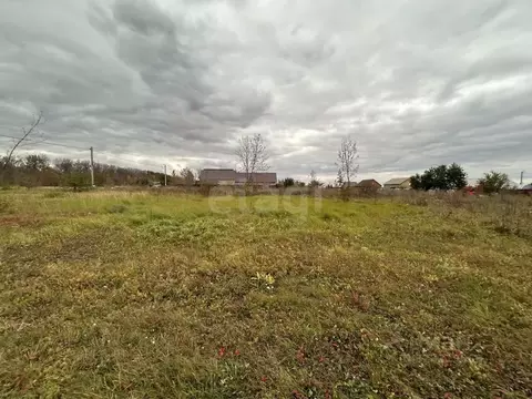 Участок в Белгородская область, Прохоровский район, Призначенское ...