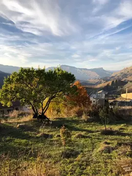 Дом в Дагестан, Гунибский район, с. Чох ул. Центральная (170 м)