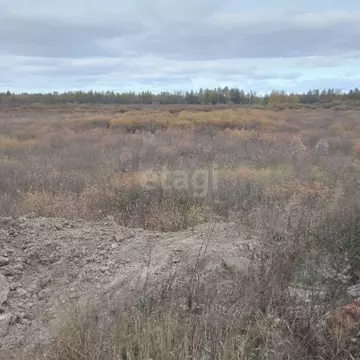 Участок в Тюменская область, Тюмень  (10.09 сот.)
