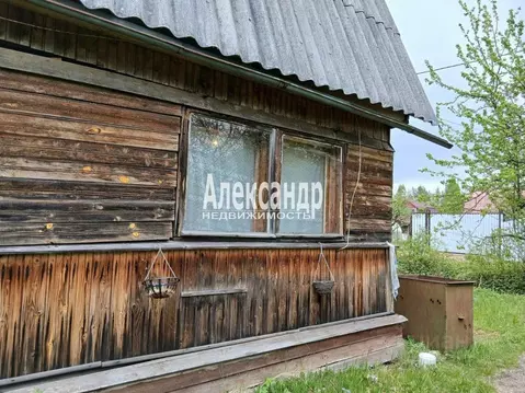 Дом в Ленинградская область, Гатчинский муниципальный округ, Чаща ...