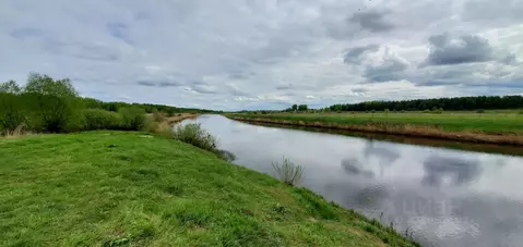 Участок в Владимирская область, Суздальский район, Селецкое ...