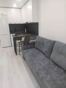 Студия Ленинградская область, Мурино Всеволожский район, ул. Шоссе в ...