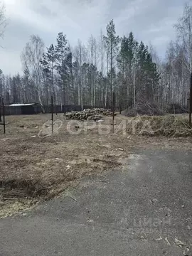 Участок в Тюменская область, Тюменский муниципальный округ, д. Речкина ...