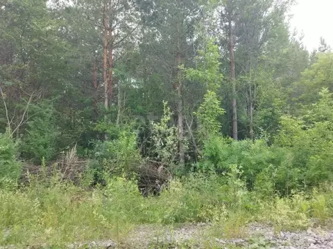 Участок в Свердловская область, Талица  (12.0 сот.)