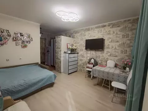 Студия Московская область, Апрелевка Наро-Фоминский городской округ, ...