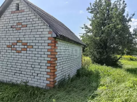 Участок в Брянская область, Брянский район, Мичуринское с/пос, ...