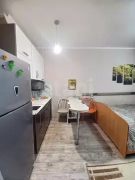 Студия Амурская область, Благовещенск Новая ул., 11 (27.0 м)