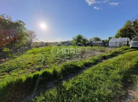 Участок в Калининградская область, Янтарный пгт, Садовник СНТ ул. ...