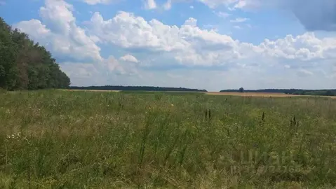 Участок в Воронежская область, Новоусманский район, Хреновское с/пос, ...