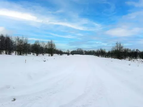 Участок в Московская область, Дмитровский муниципальный округ, Сбоево ...