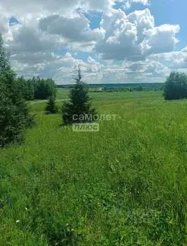Участок в Вологодская область, д. Богородское  (20.0 сот.)