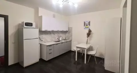 Студия Санкт-Петербург просп. Буденного, 19к1 (26.0 м)