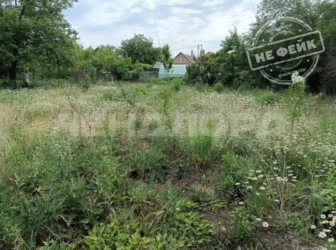 Участок в Ростовская область, Новочеркасск № 1 РосНИИПМ садовое ...