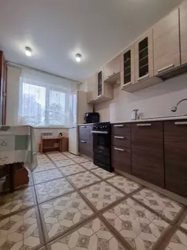 1-к кв. Калужская область, Совхоз Боровский с/пос, д. Кабицыно ул. ...