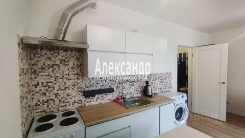 Студия Санкт-Петербург ул. Чарушинская, 32 (24.0 м)