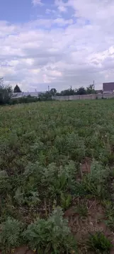 Участок в Татарстан, Лаишевский район, Столбищенское с/пос, с. ...