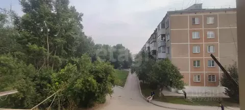 2-к кв. Новосибирская область, Искитим Южный мкр, 13 (41.5 м)