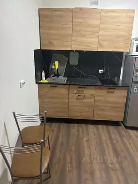 Студия Санкт-Петербург дор. Муринская, 31к1 (21.9 м)