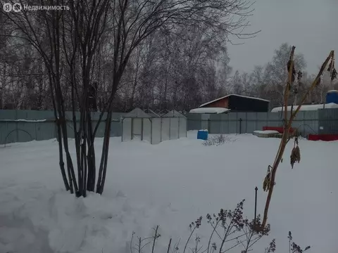 Участок в Новосибирская область, Коченёвский муниципальный район, ...