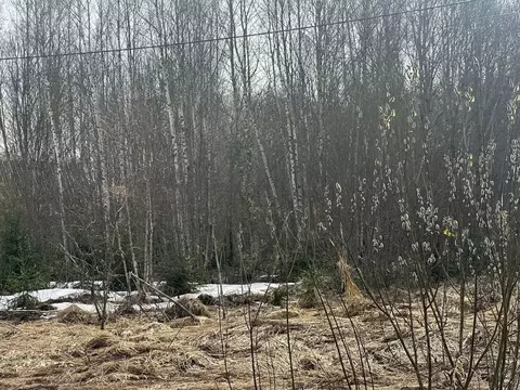 Участок в Московская область, Рузский муниципальный округ, д. Лобково  ...