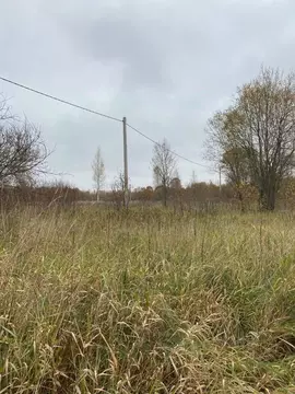 Участок в Новгородская область, Новгородский район, Савинское с/пос, ...