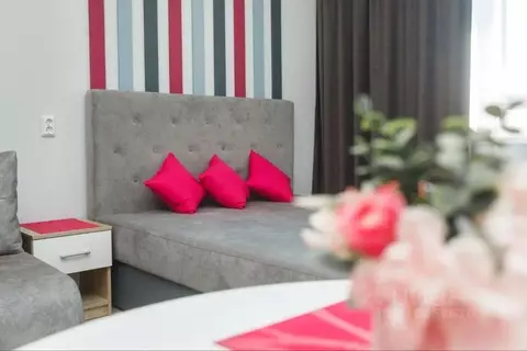 1-к кв. Свердловская область, Екатеринбург ул. Чайковского, 66А (28.0 ...