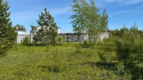 Участок в Тюменская область, Тюмень Звенящие Кедры Тюмени ДНП,  (9.7 ...