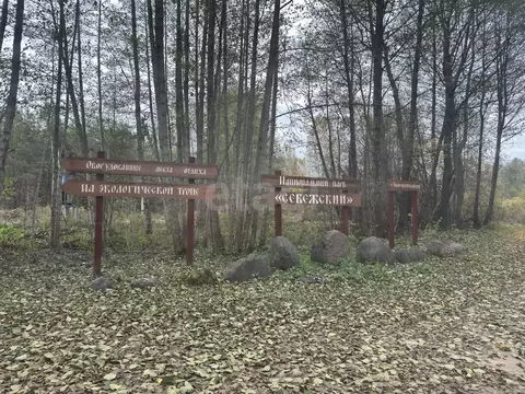 Участок в Псковская область, Себежское с/пос, д. Забелье  (24.0 сот.)