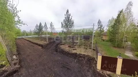 Участок в Тюменская область, Тюмень Звенящие Кедры Тюмени ДНП,  (7.1 ...