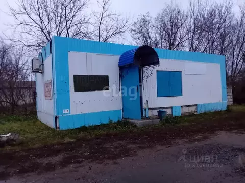 Торговая площадь в Белгородская область, Красногвардейский район, ...