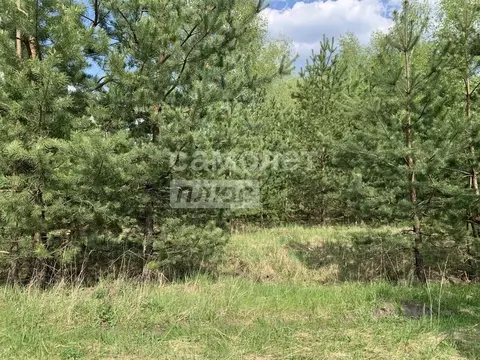 Участок в Воронежская область, Рамонский район, с. Новоживотинное  ...