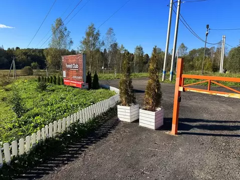 Участок в Московская область, Дмитровский муниципальный округ, Форест ...