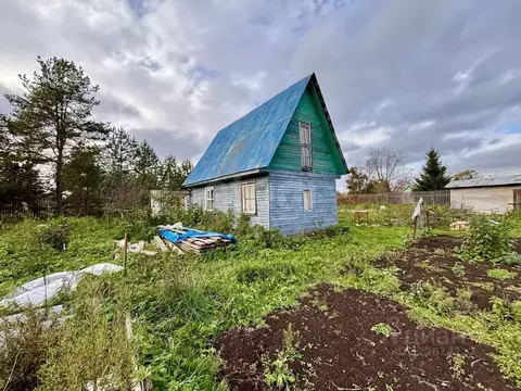 Дом в Вологодская область, Торфяник-5 садоводческое товарищество  (40 ...
