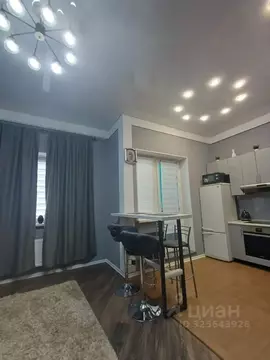 1-к кв. Московская область, Богородский городской округ, д. Щемилово ...