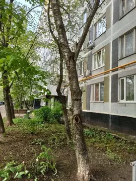 Комната Москва ул. Свободы, 63 (8.7 м)