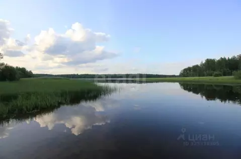 Дом в Вологодская область, Шекснинский муниципальный округ, Полянка ...
