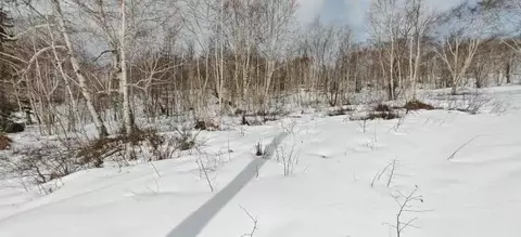 Участок в Камчатский край, Елизовский муниципальный округ, Рябинушка ...