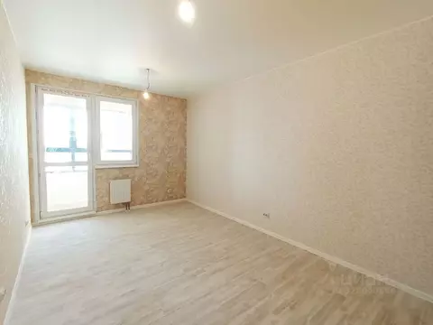 Студия Московская область, Ивантеевка Пушкинский городской округ, ...