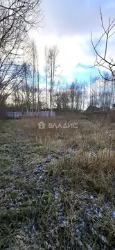 Участок в Калужская область, Дзержинский муниципальный округ, Старки ...