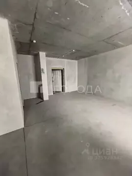 Студия Алтайский край, Барнаул просп. Строителей, 18к1 (46.8 м)