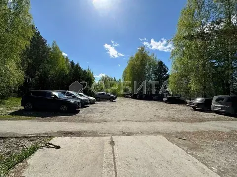 Участок в Тюменская область, Тюменский район, Винзили рп  (159.0 сот.)