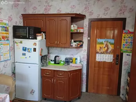 1-комнатная квартира: Иркутск, улица Маршала Конева, 14А (13 м)