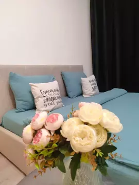 Студия Московская область, Ногинск Богородский городской округ, ул. ...