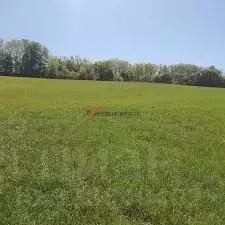 Участок в Новосибирская область, Искитимский район, с. Морозово 1 ...