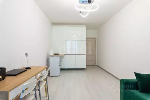 Студия Санкт-Петербург просп. Буденного, 23к6 (24.8 м)